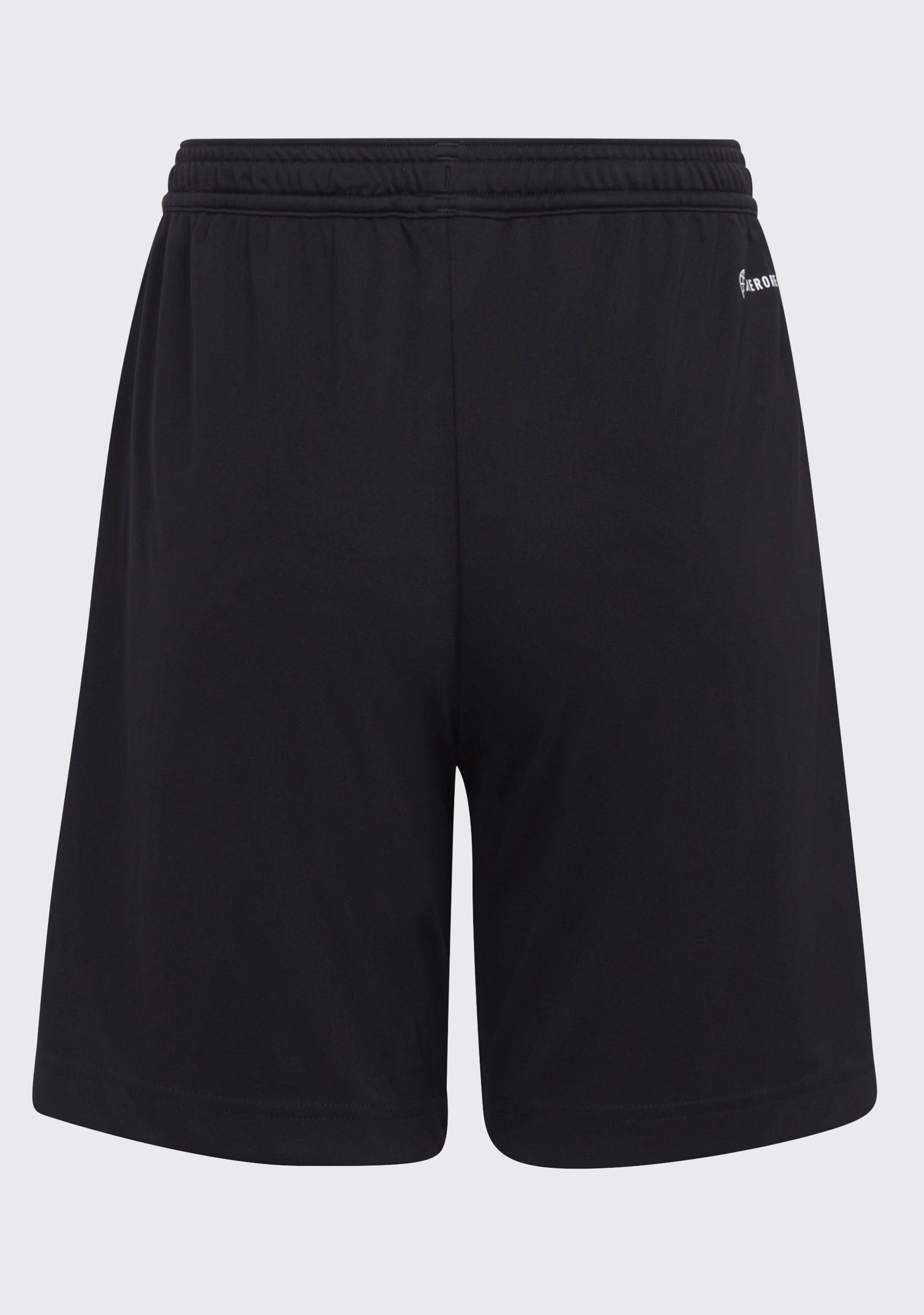 Adidas Junior Entrada 22 Shorts