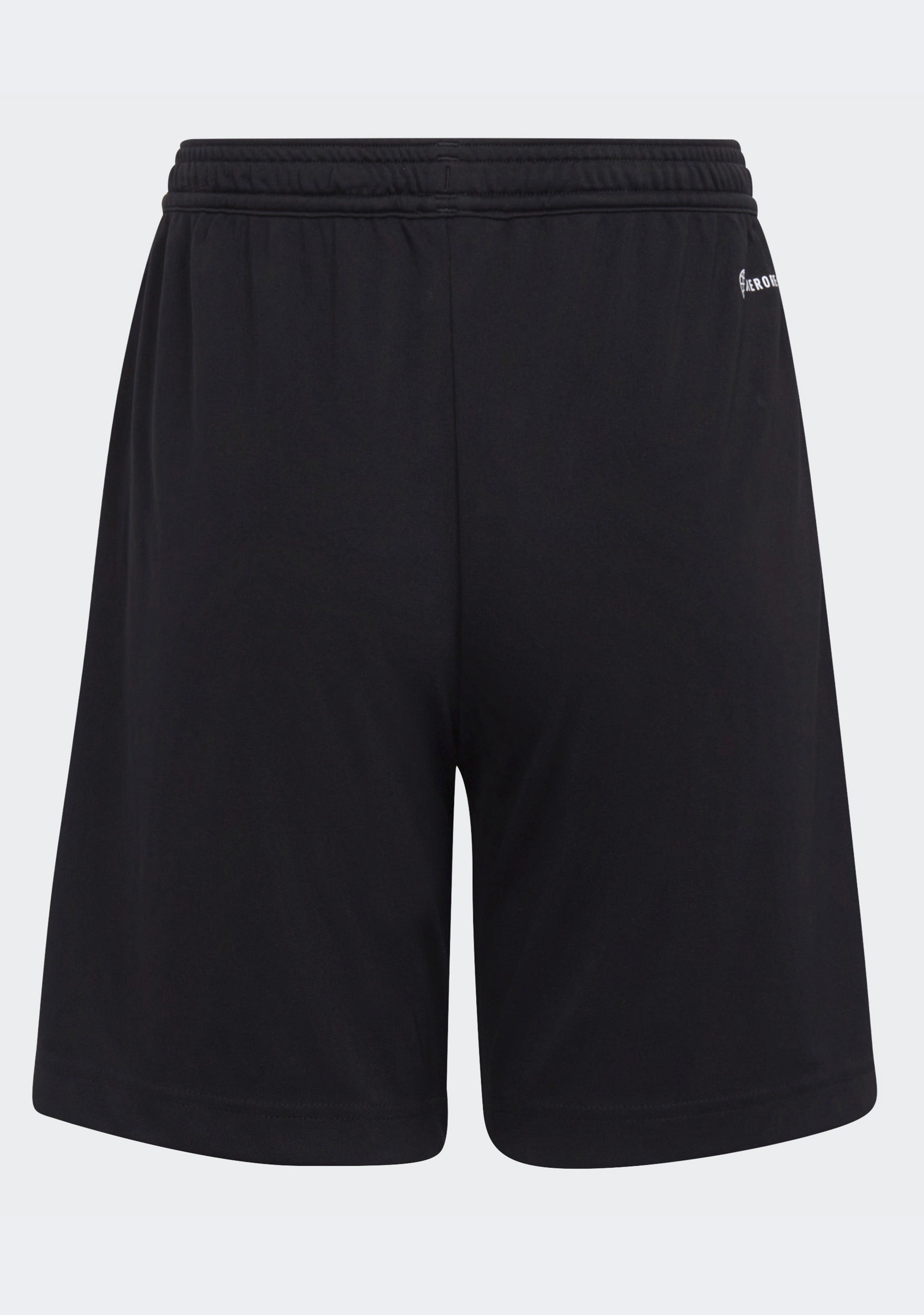 Adidas Junior Entrada 22 Shorts
