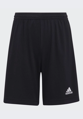 Adidas Junior Entrada 22 Shorts