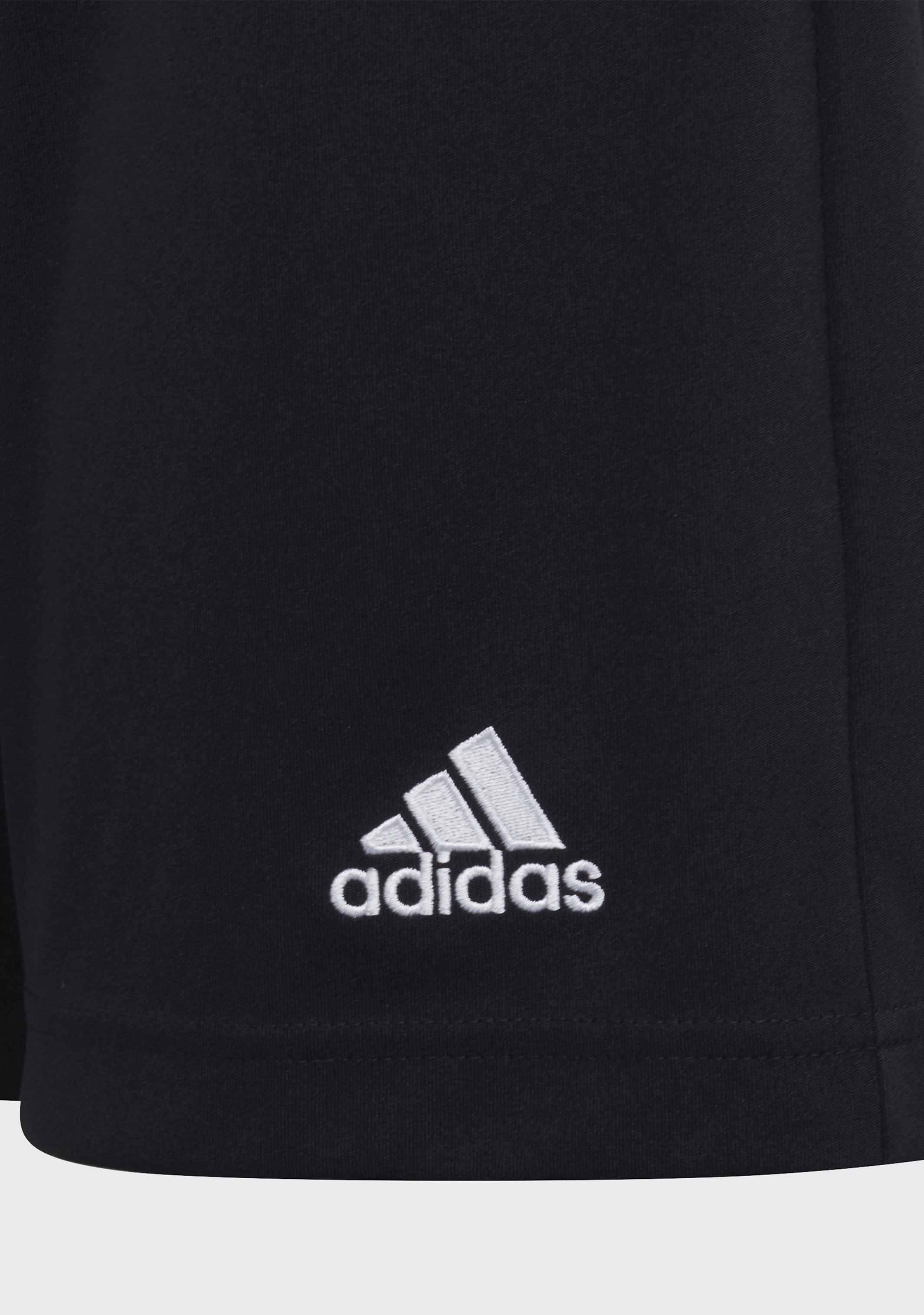 Adidas Junior Entrada 22 Shorts