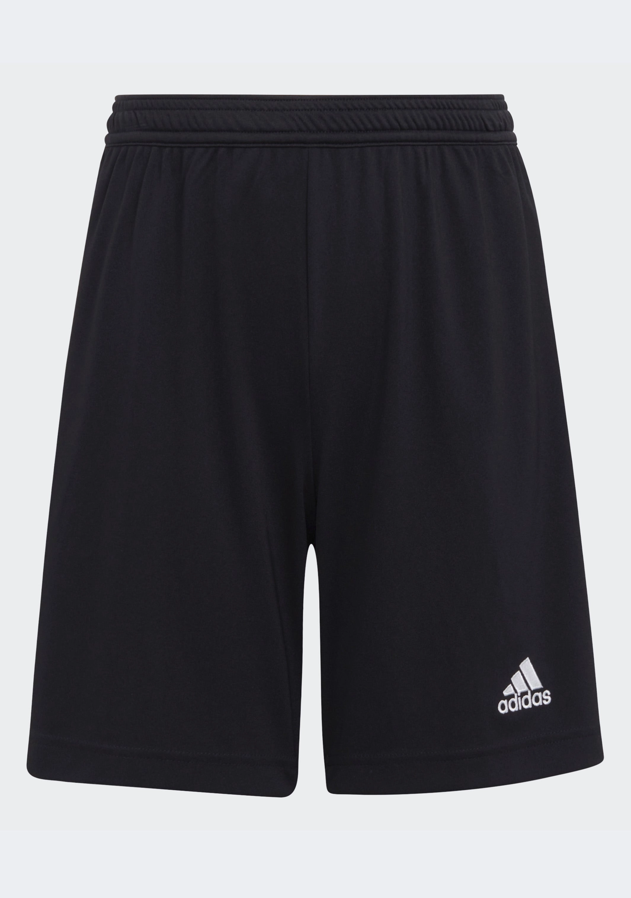 Adidas Junior Entrada 22 Shorts