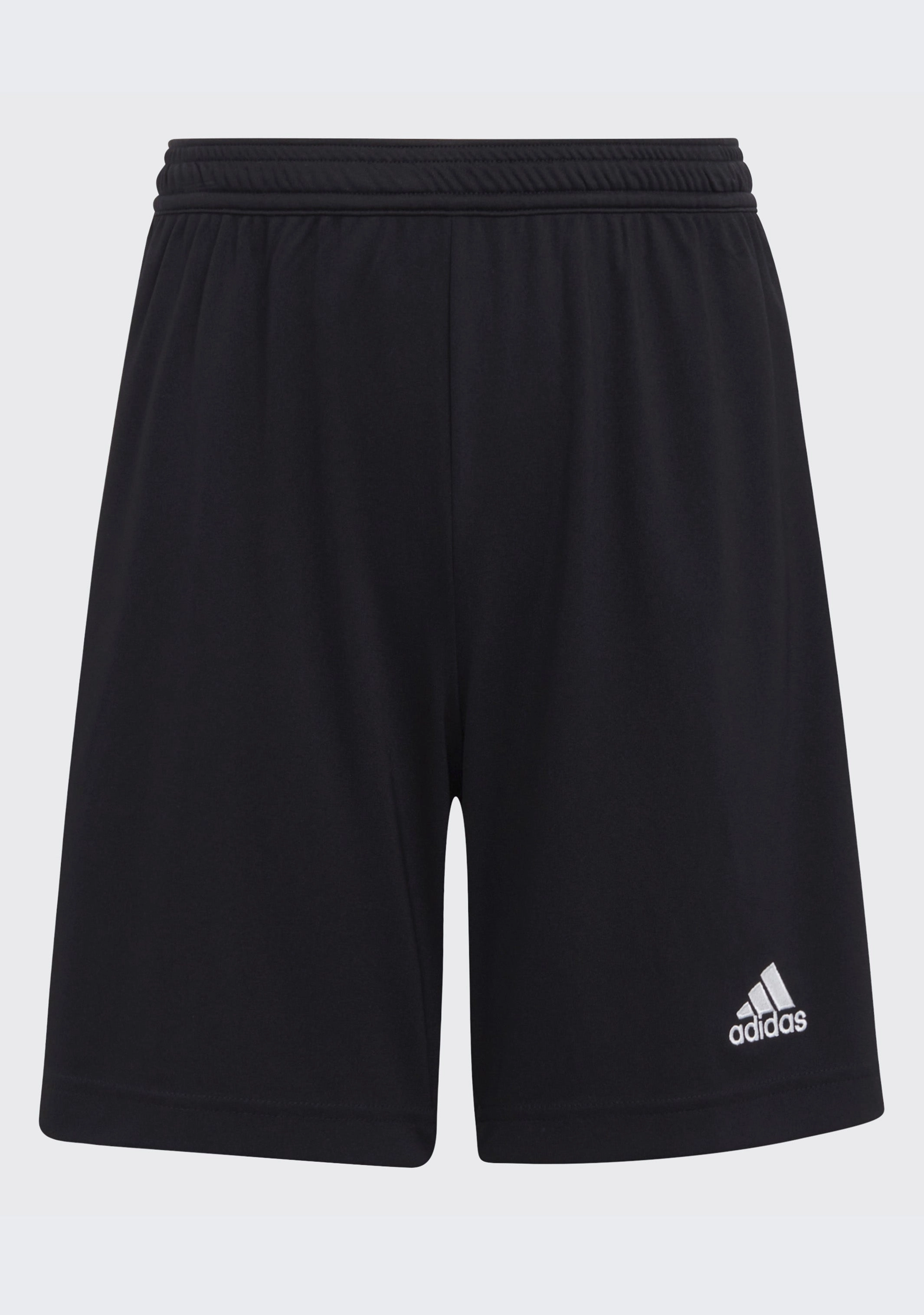 Adidas Junior Entrada 22 Shorts