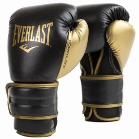 Everlast Powerlock 2 Boxing Training Glove